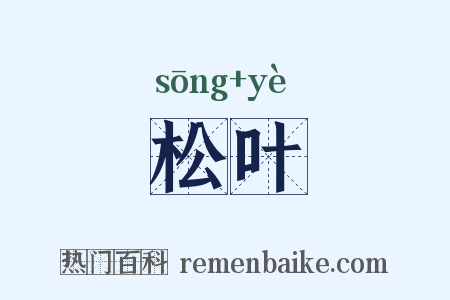 松叶是什么意思的图片